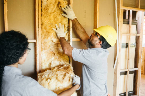  West Elmira, NY Insulation Pros